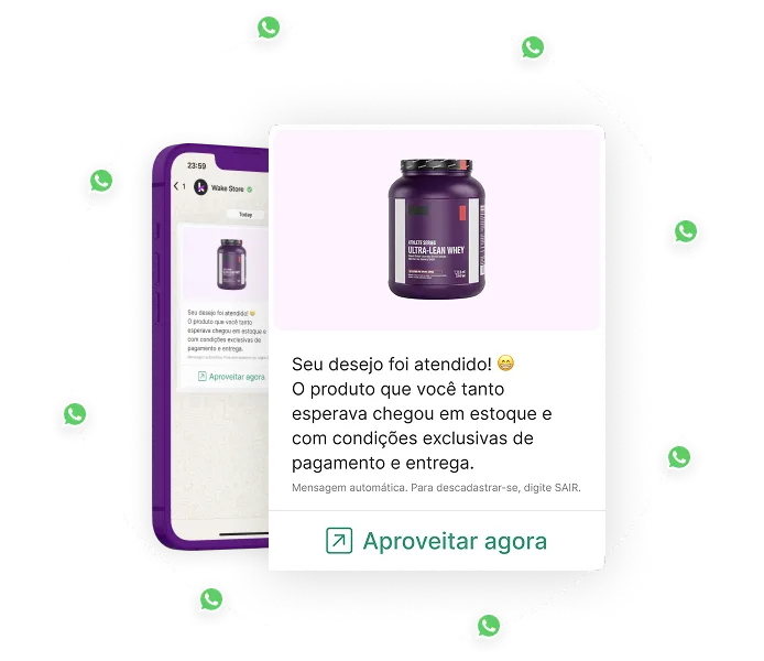 WhatsApp Marketing - Transforme conversas em conversões